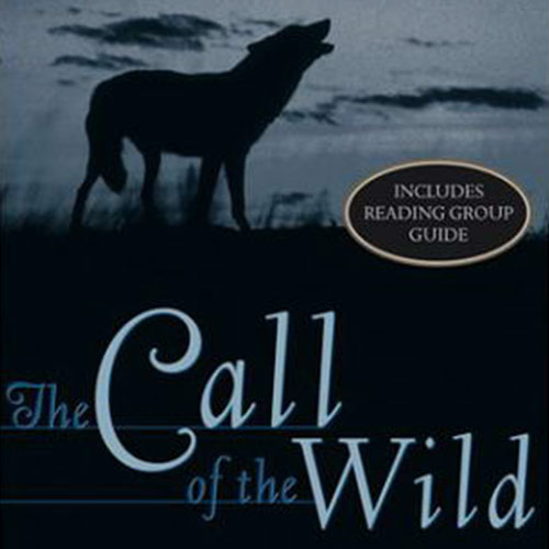 Picture of the author